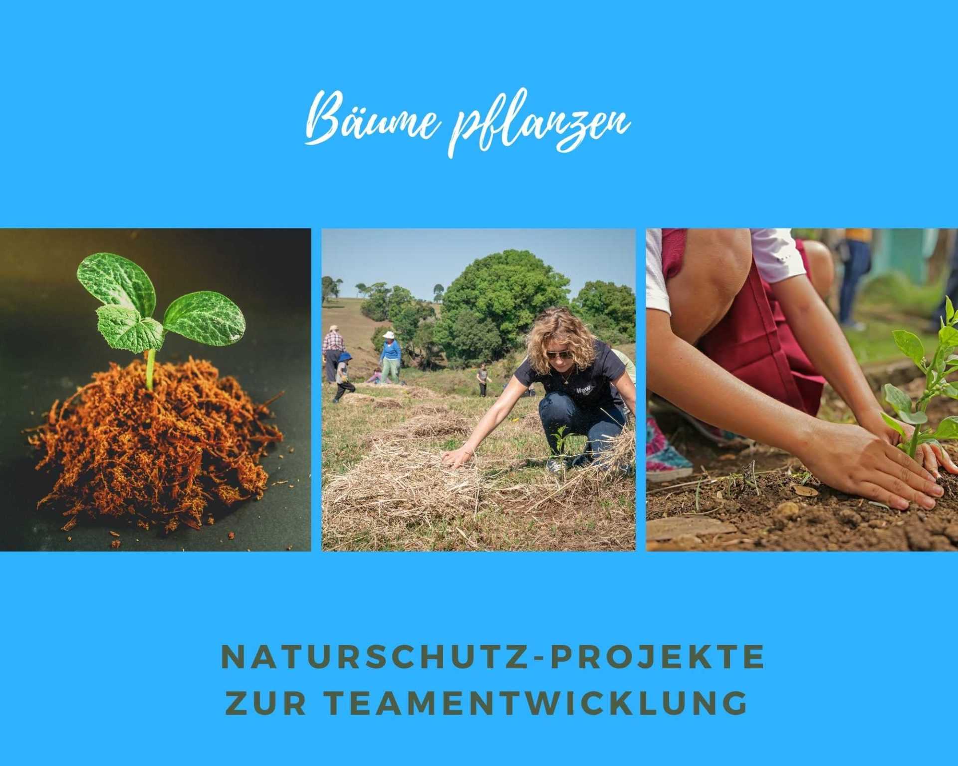 Green Event Bäume pflanzen
