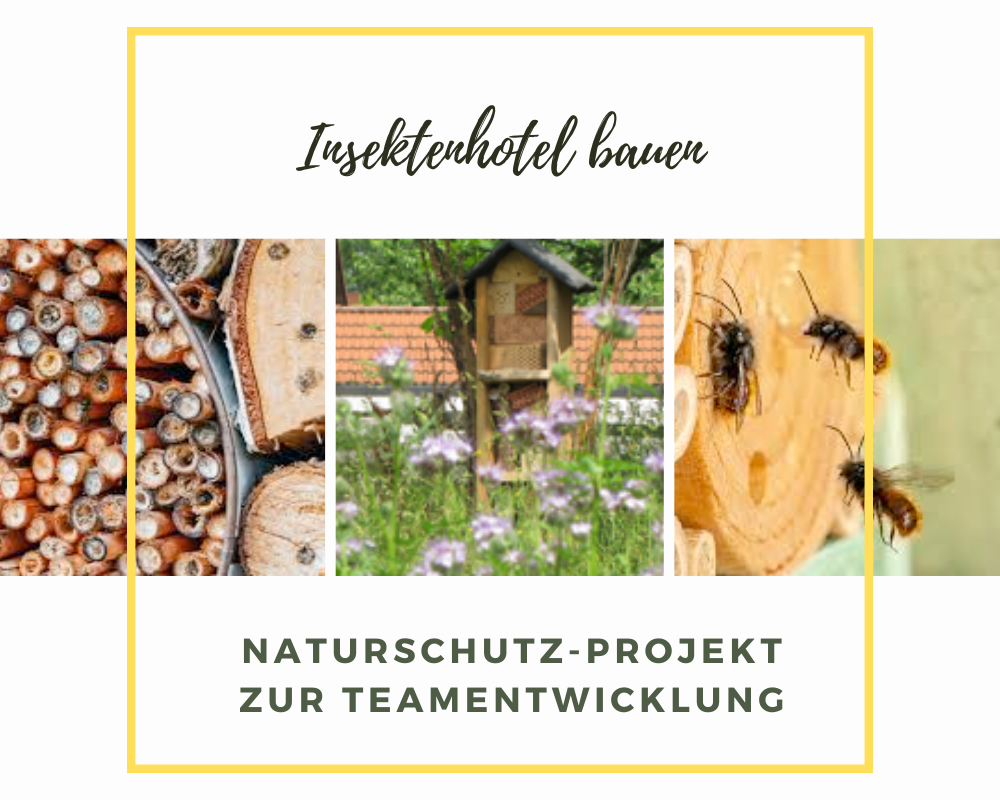 Green Teamevent: Insektenhotel bauen