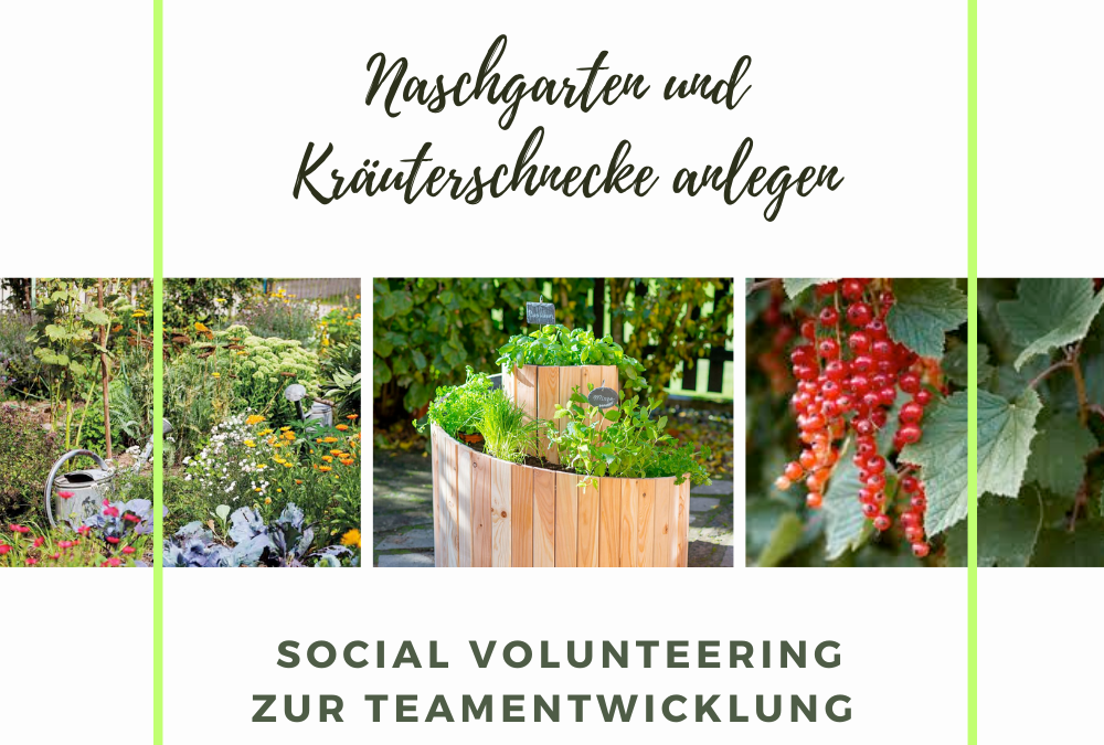 Sozialer Teamevent Naschgarten und Kräuterschnecke