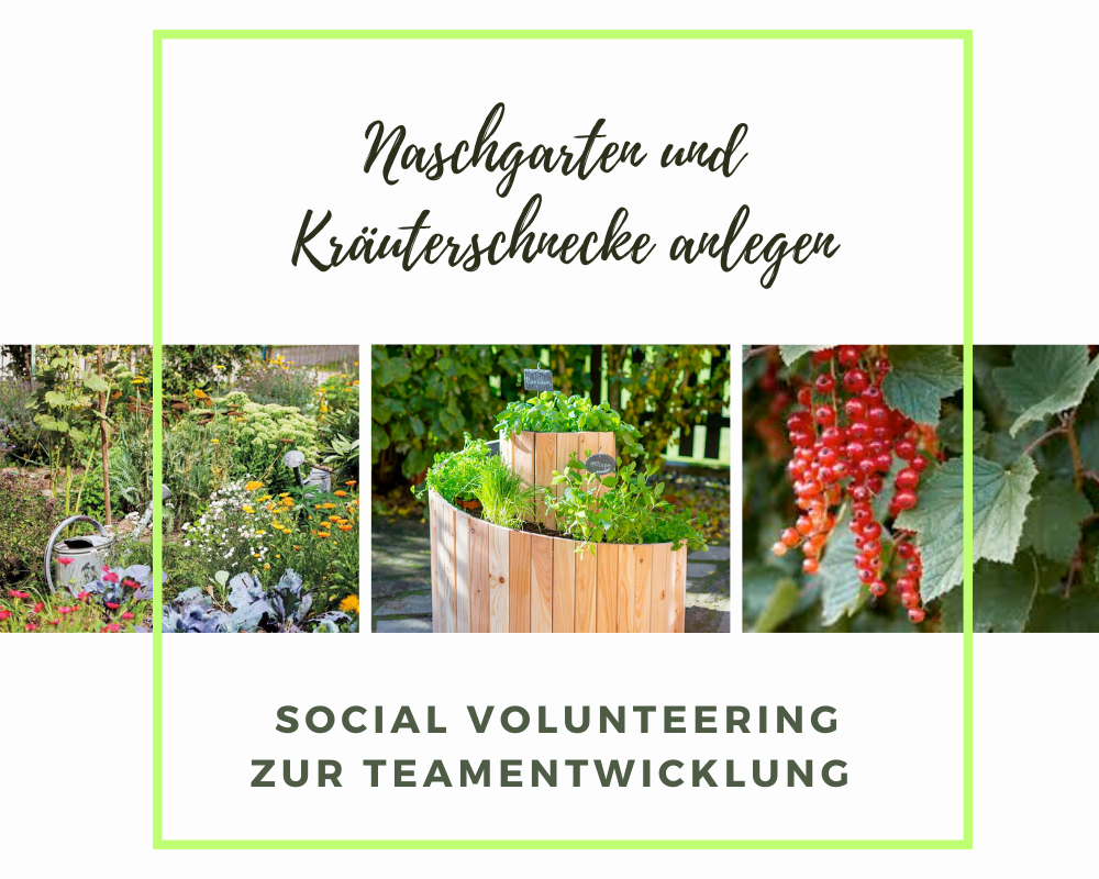 Sozialer Teamevent Naschgarten und Kräuterschnecke