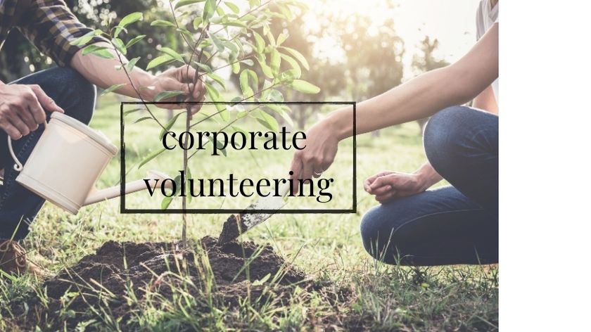 Teamevent-Blog(5) Soziales Engagement - Corporate Volunteering - es gibt viele Bezeichnungen.