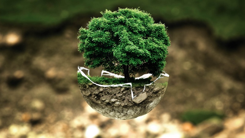 Social Responsibility im Unternehmen-2 Das Thema Umwelt sollte bei Tätigkeiten der Social Responsibility im Unternehmen weit oben stehen.